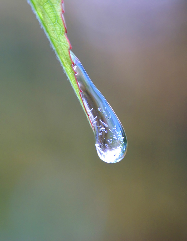 Eingefrorener Augenblick