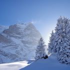 Eingefrorenes Alpenglühen