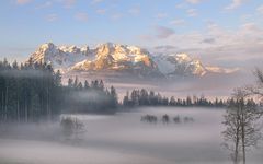 Eingehüllt im Nebel