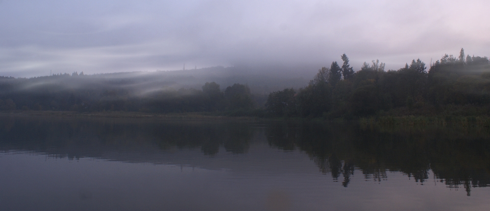 eingehüllt im Nebel