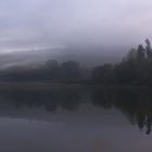 eingehüllt im Nebel