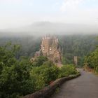 eingehüllt im Nebel