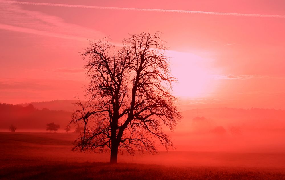 Eingehüllt in NEBEL