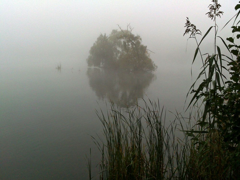 Eingehüllt vom Nebel zeigt sich die kleine Insel im See.