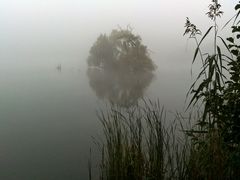 Eingehüllt vom Nebel zeigt sich die kleine Insel im See.