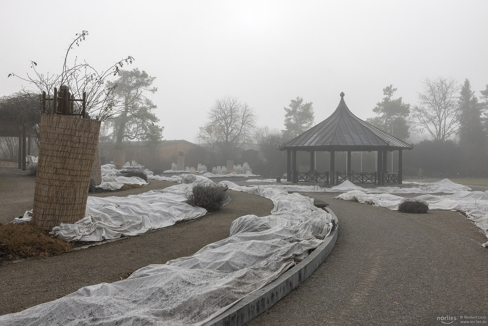 Eingepackter Rosengarten im Nebel