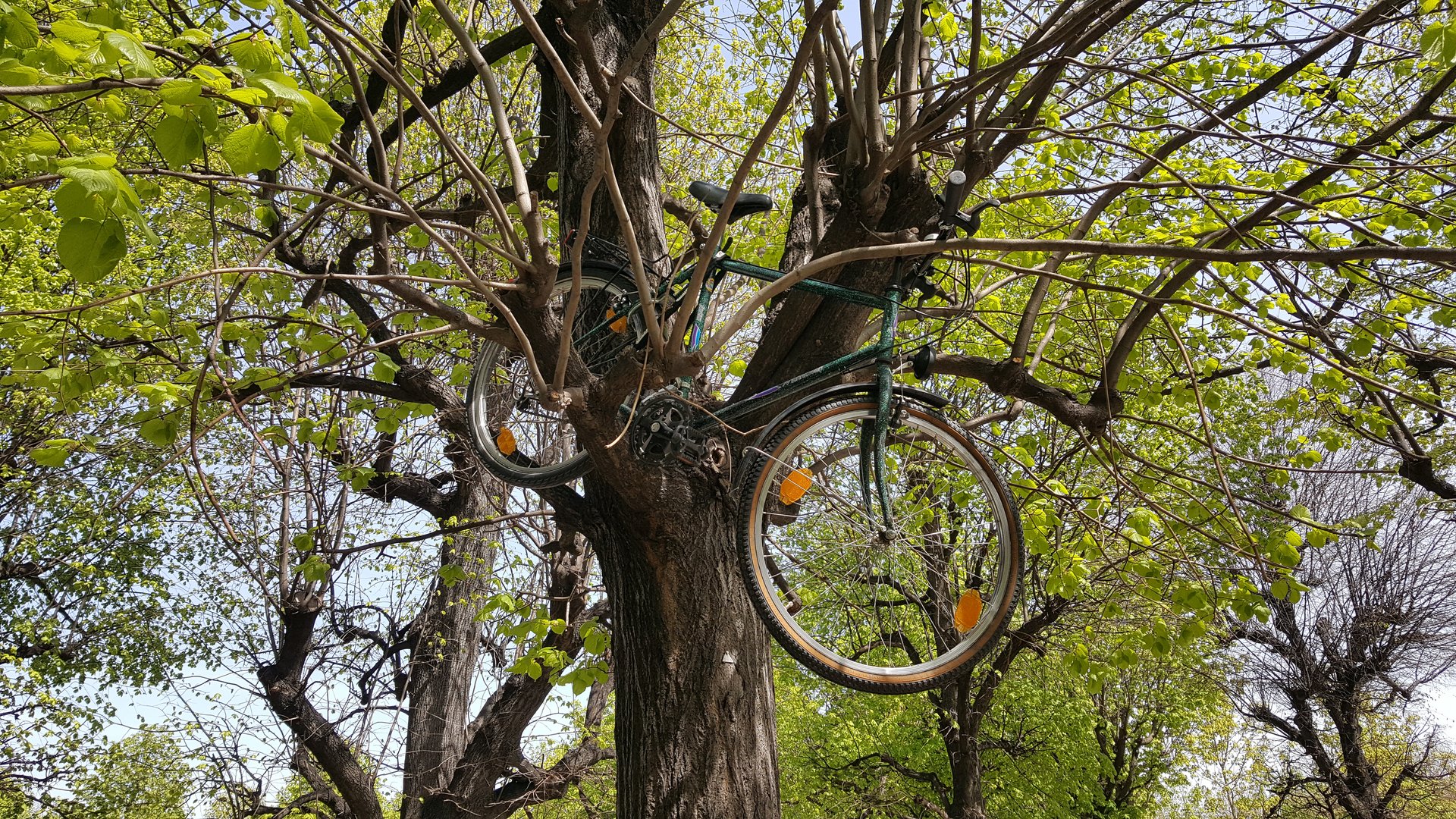 Eingeparkt (Anleitung?)