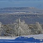 Eingerahmt ist hier fast der Hohe Schneeberg...