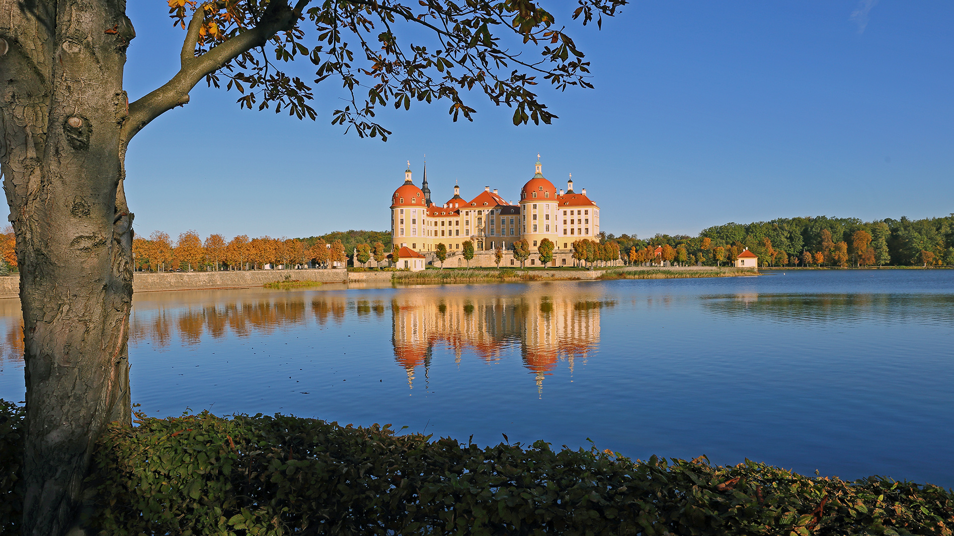 Eingerahmt und mit Spiegelung präsentiert sich hier Schloss Moritzburg...