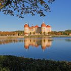 Eingerahmt und mit Spiegelung präsentiert sich hier Schloss Moritzburg...