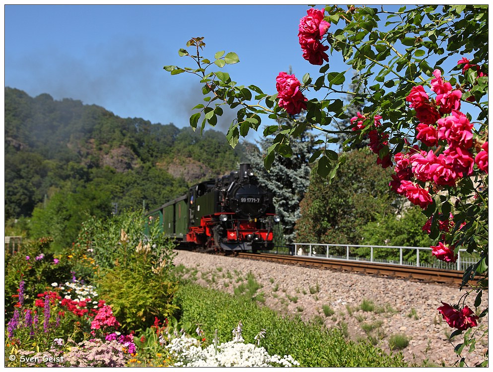 Eingerahmt von vielen Blumen