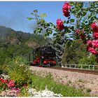 Eingerahmt von vielen Blumen