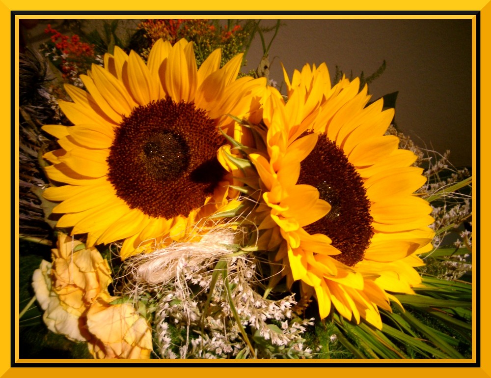 eingerahmte Sonnenblumen