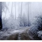 Eingereift und eingerahmt