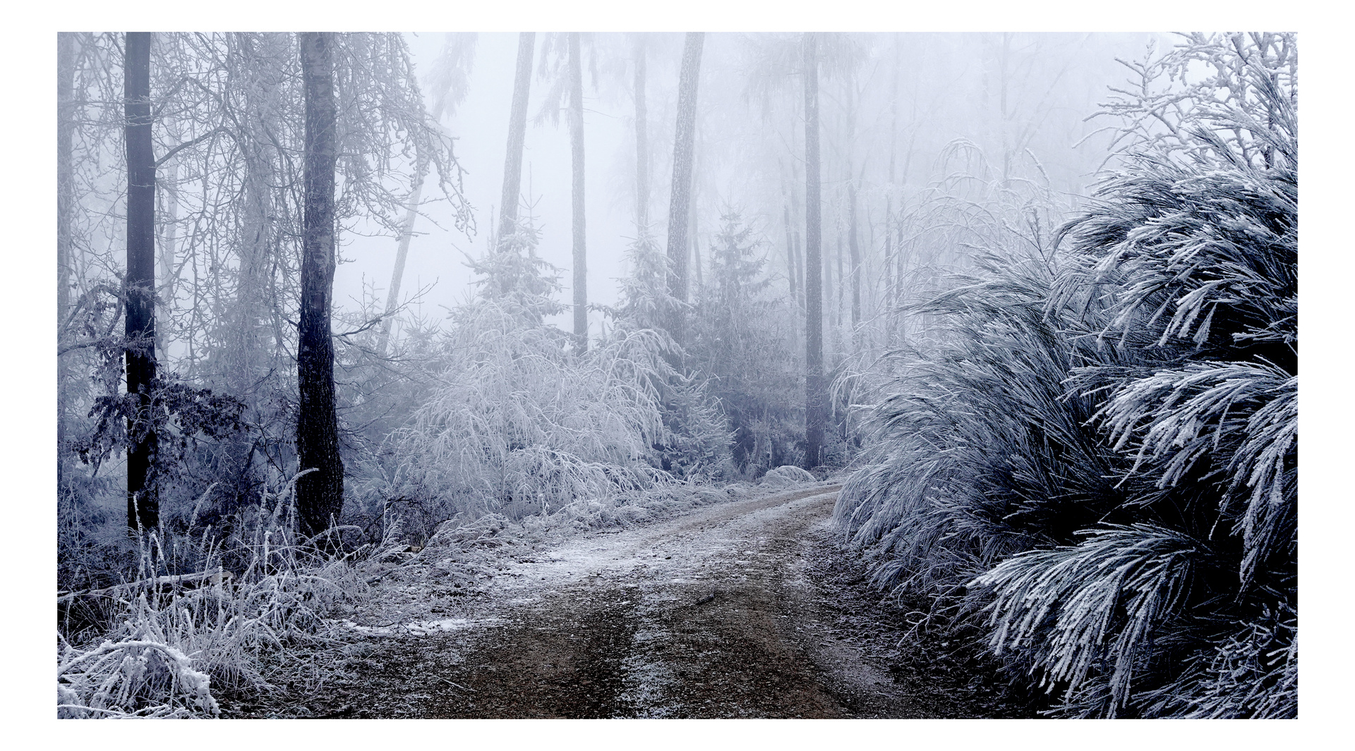 Eingereift und eingerahmt