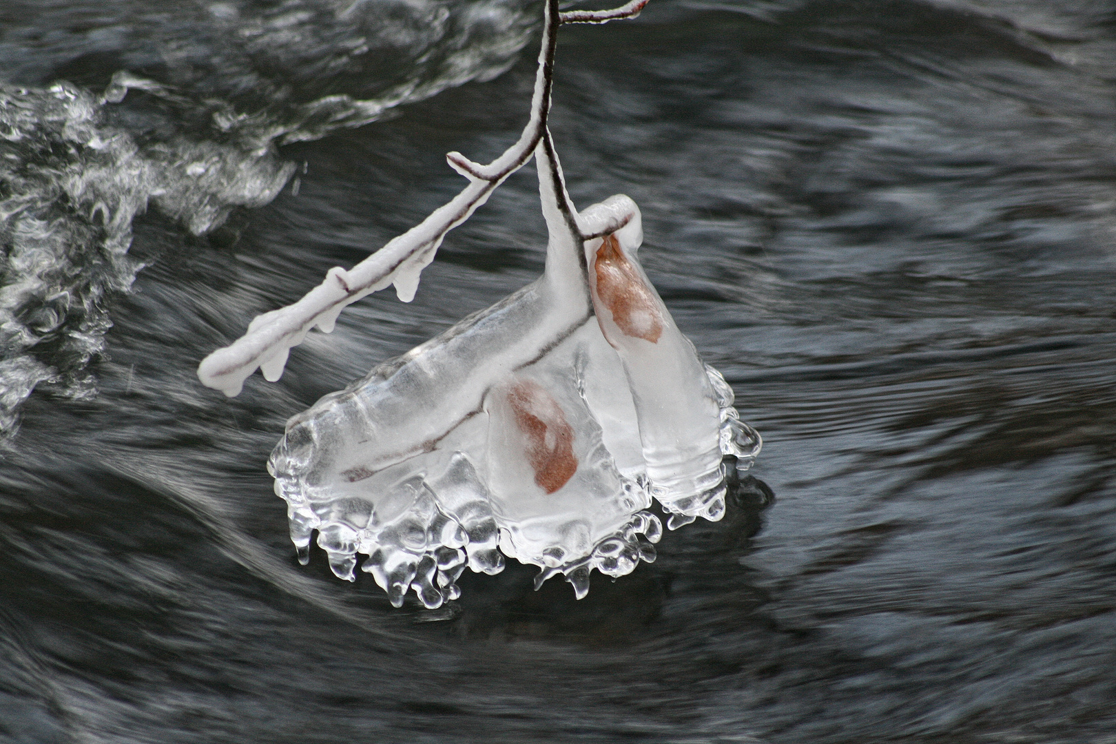 eingeschlossen im Eisschuh