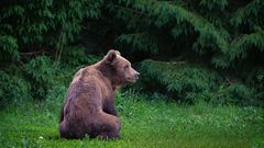Eingeschnappt oder frustriert?