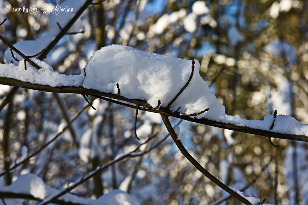 Eingeschneit...