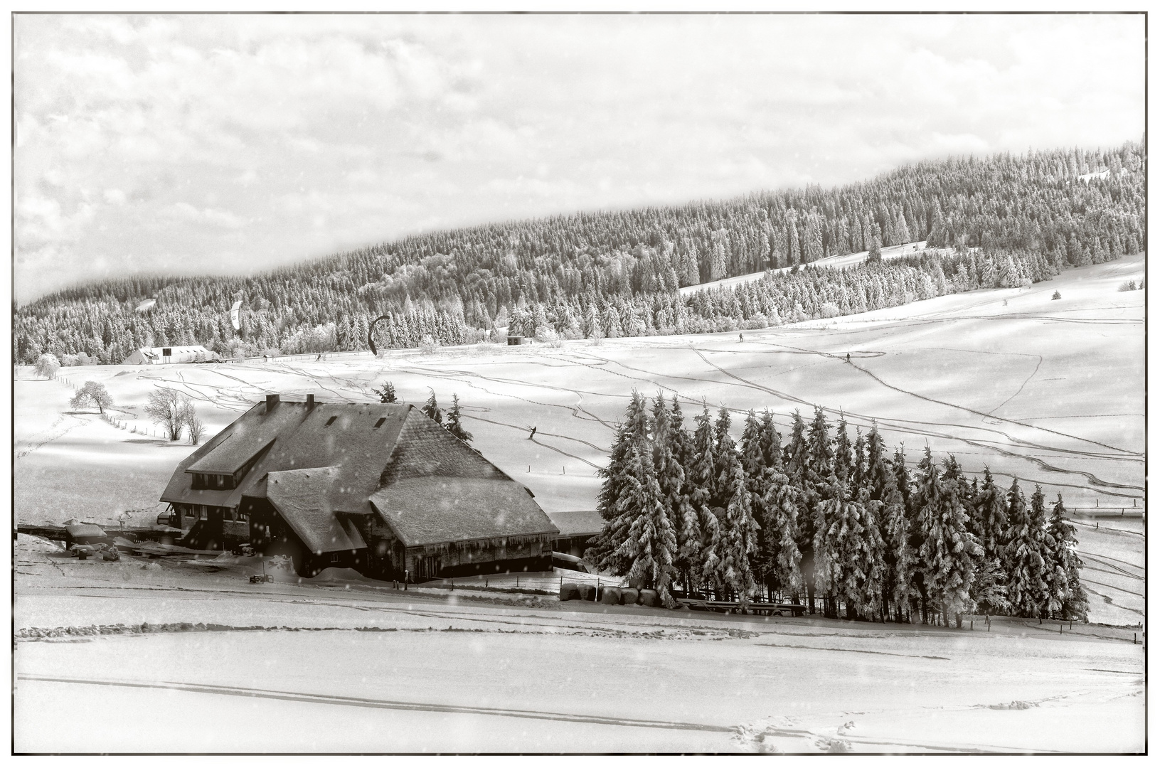 eingeschneite Winterlandschaft