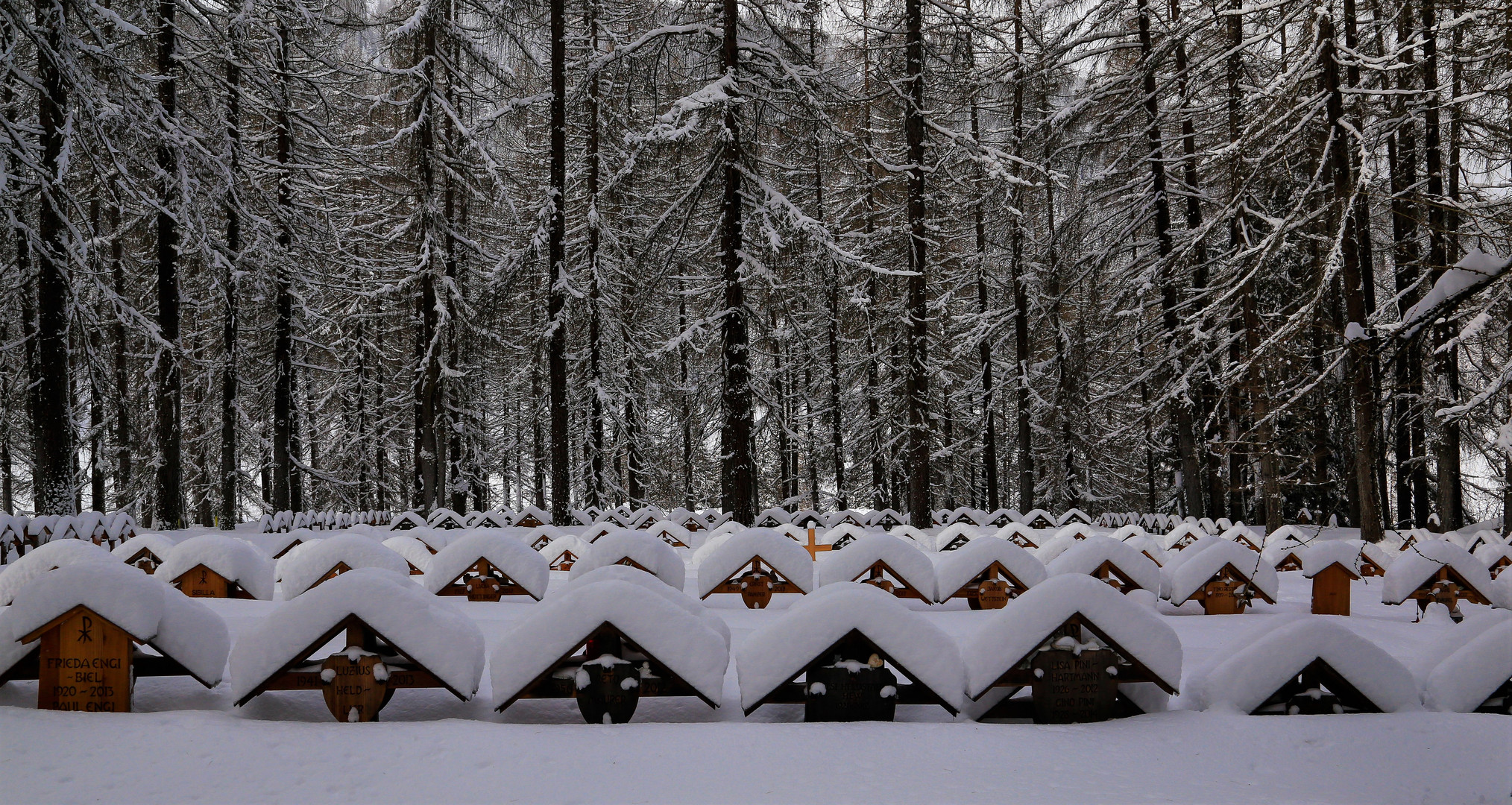 Eingeschneiter Waldfriedhof Davos