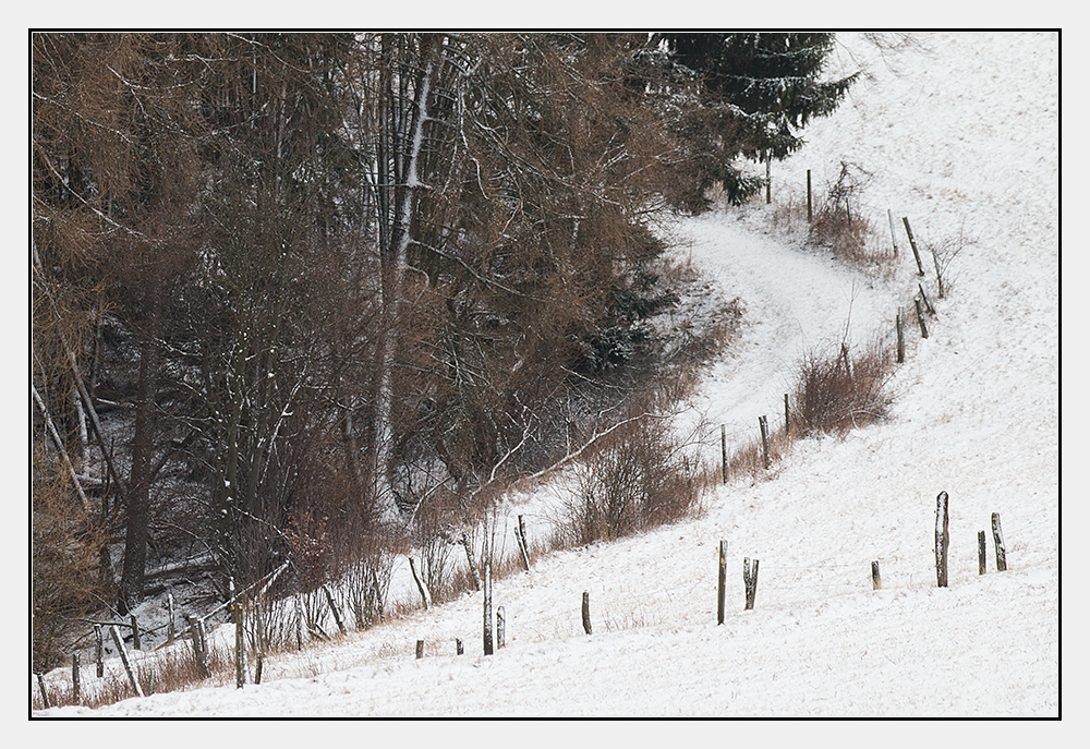 eingeschneiter Waldweg