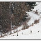 eingeschneiter Waldweg