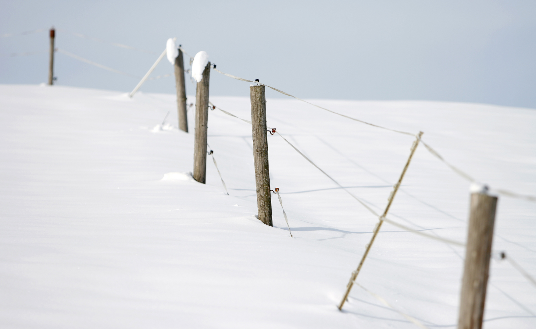 Eingesperrt im Paradies