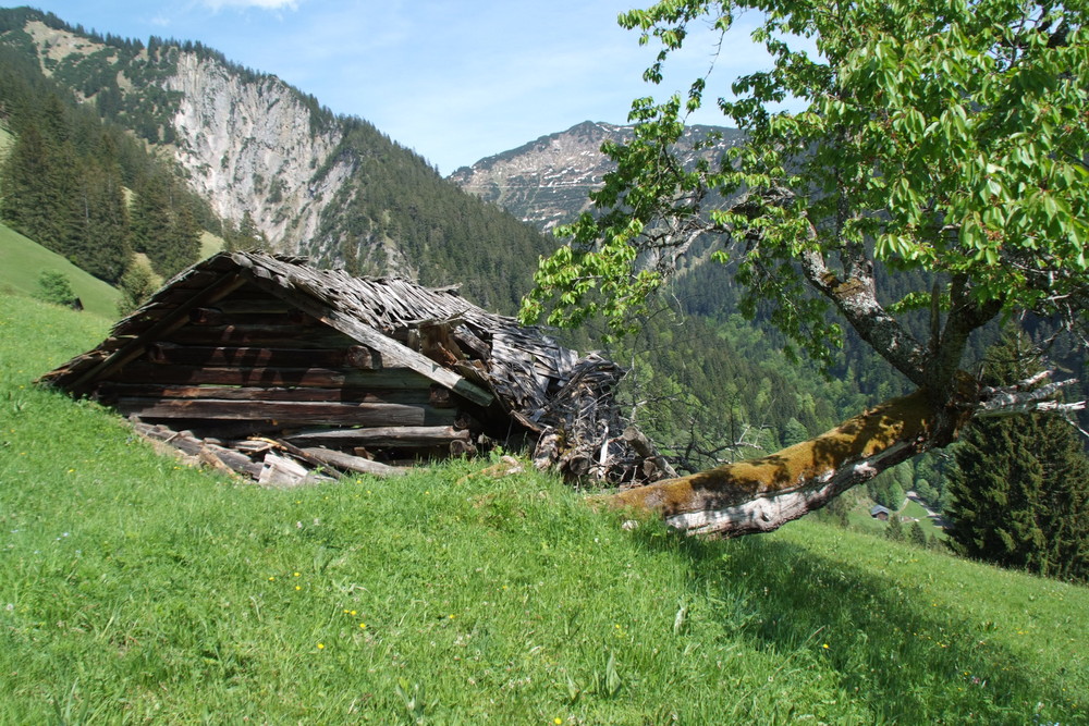 eingestürzte Berghütte Bj ca. 1870 auf 1900 Meter Seehöhe