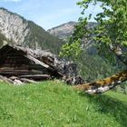 eingestürzte Berghütte Bj ca. 1870 auf 1900 Meter Seehöhe