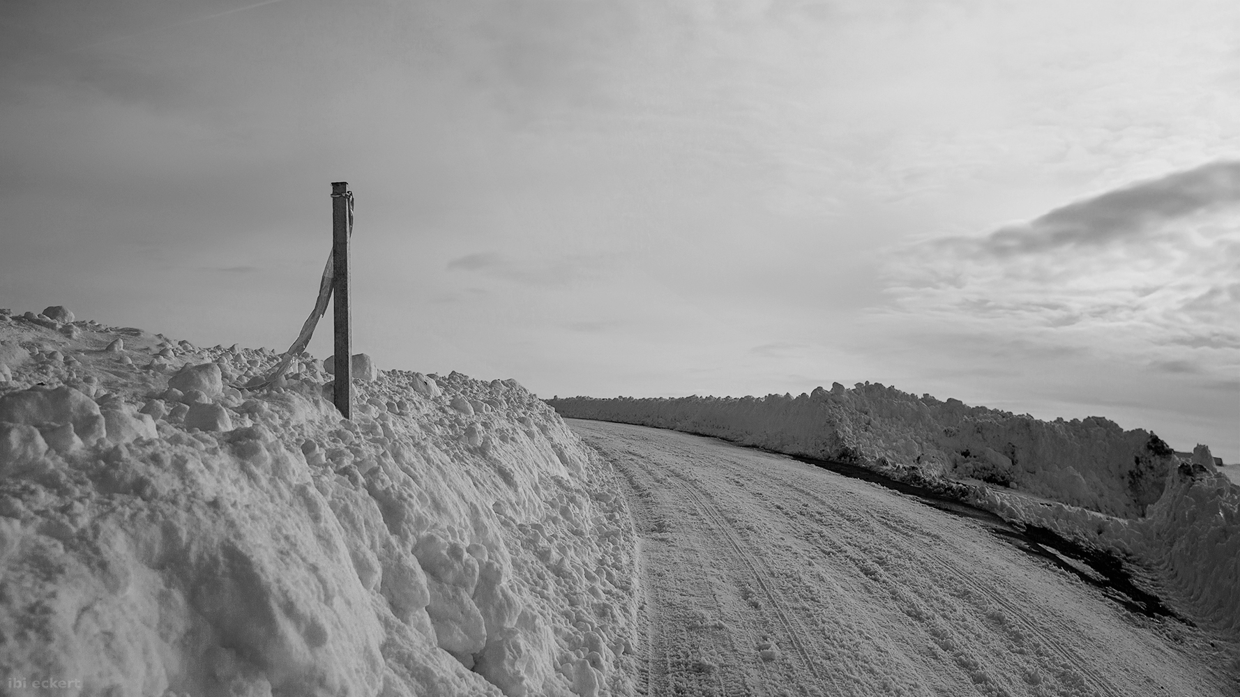 Eingetaucht im Winter