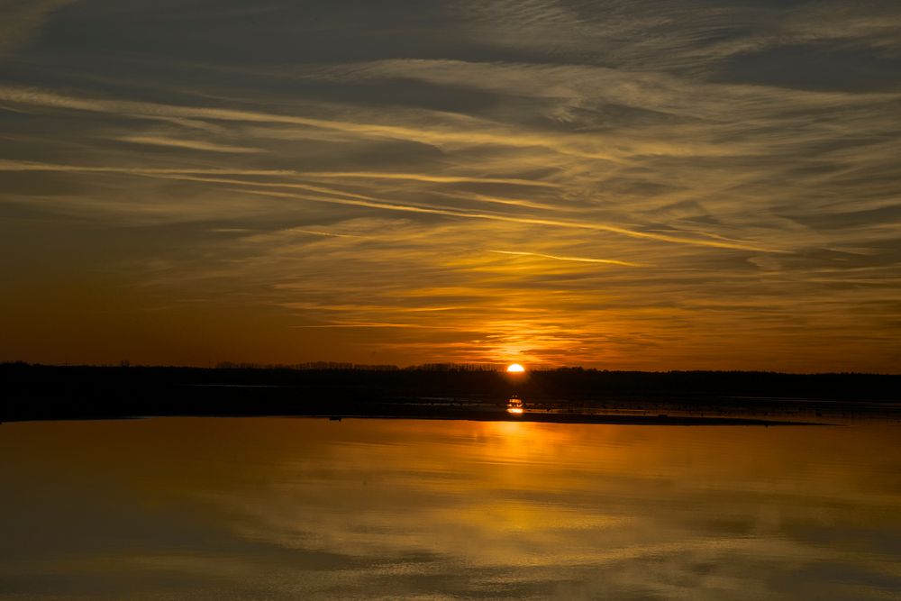 Eingetaucht in das Waldmeer