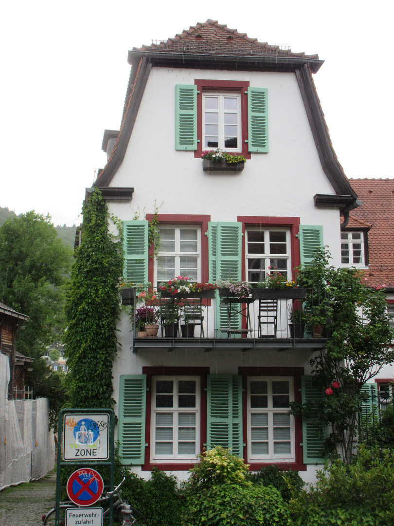 Eingewachsenes Stadthaus in Heidelberg