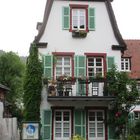 Eingewachsenes Stadthaus in Heidelberg