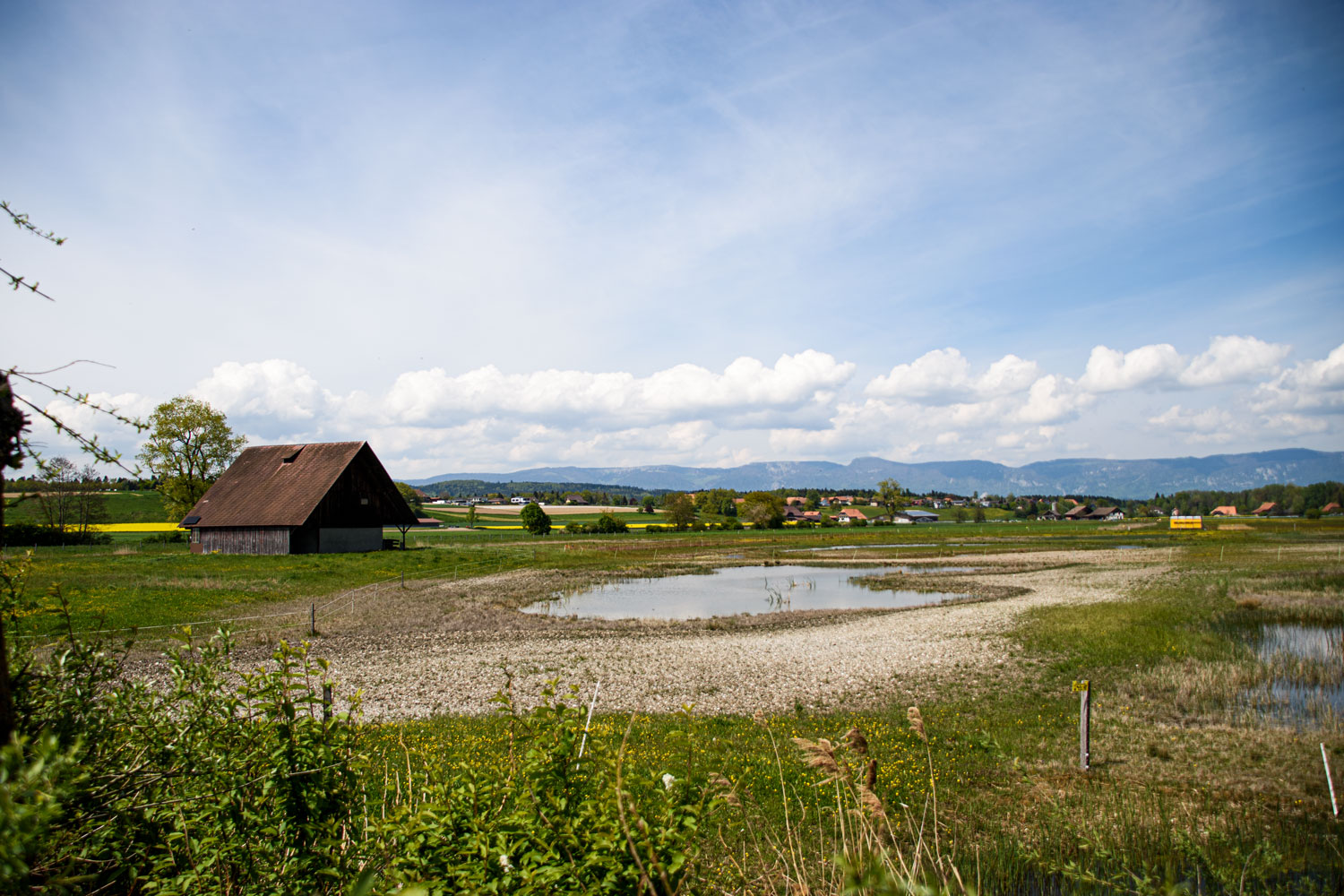 eingezäuntes Naturschutzgebiet