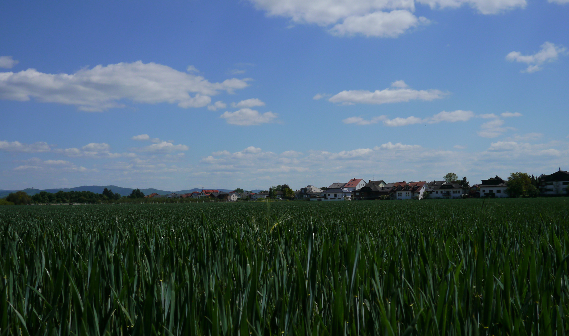 Einhausen - Blick über die Felder auf die Bergstraße