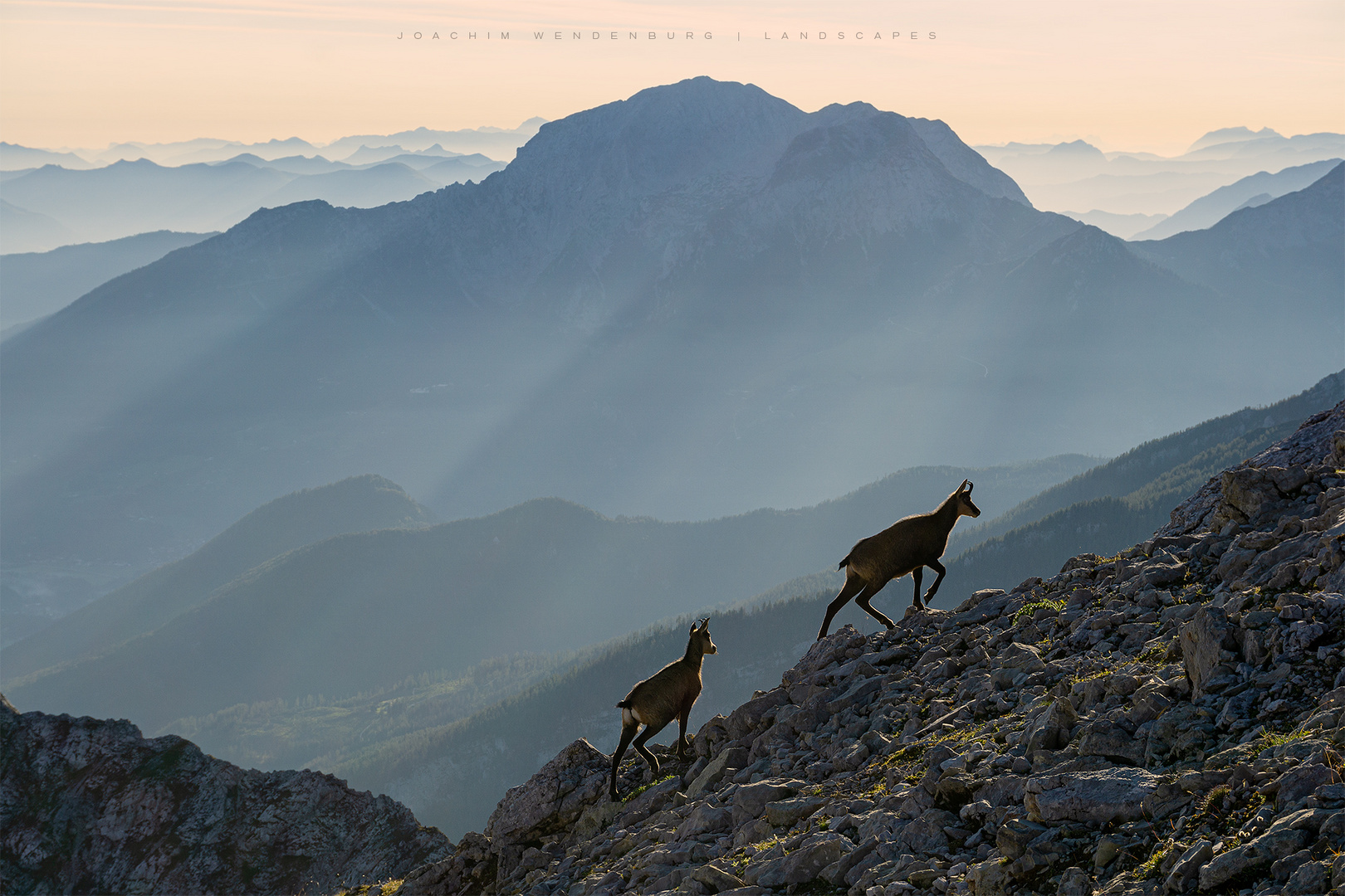 Einhörner vorm Watzmann