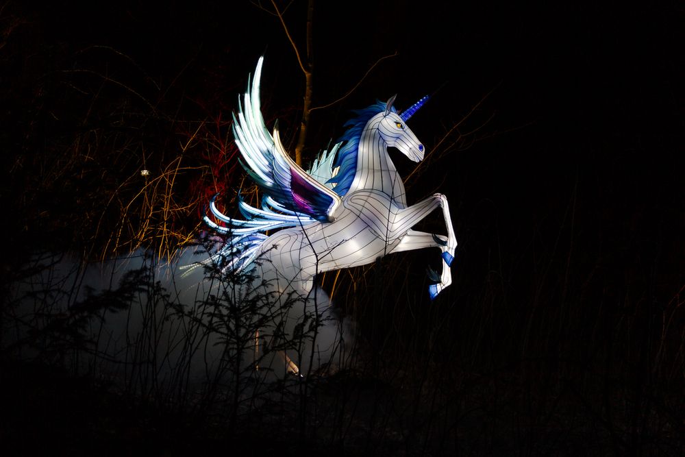 Einhorn Foto & Bild | deutschland, europe, sachsen- anhalt Bilder auf