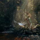 Einhorn im magischen Wald