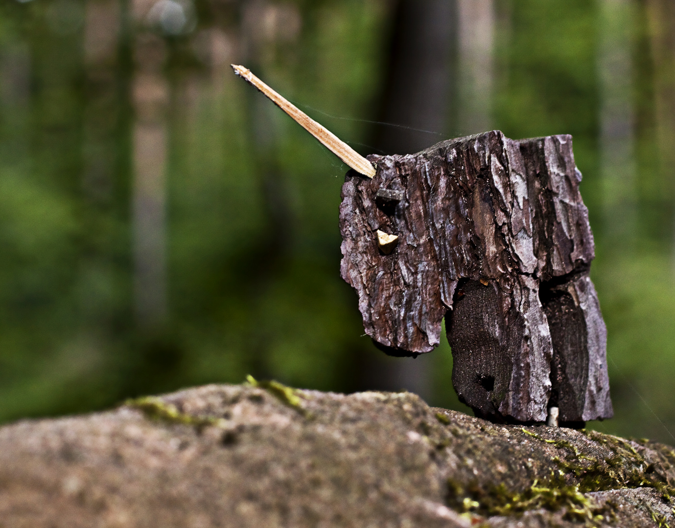 Einhorn im Zauberwald