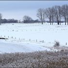 -Einhusen im Schnee-