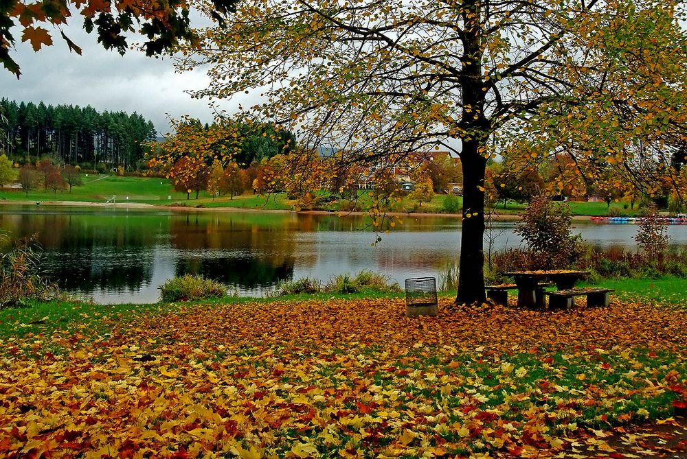 Einige bunte Herbstblätter ...