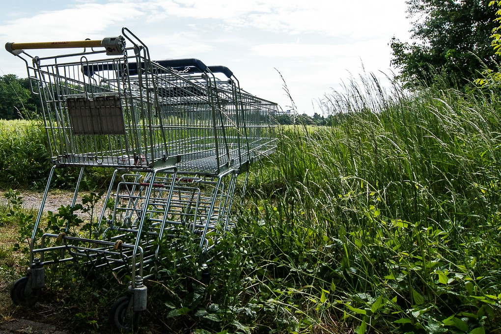 "Einkauf auf der grünen Wiese"...