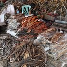 Einkaufen auf dem Fischmarkt