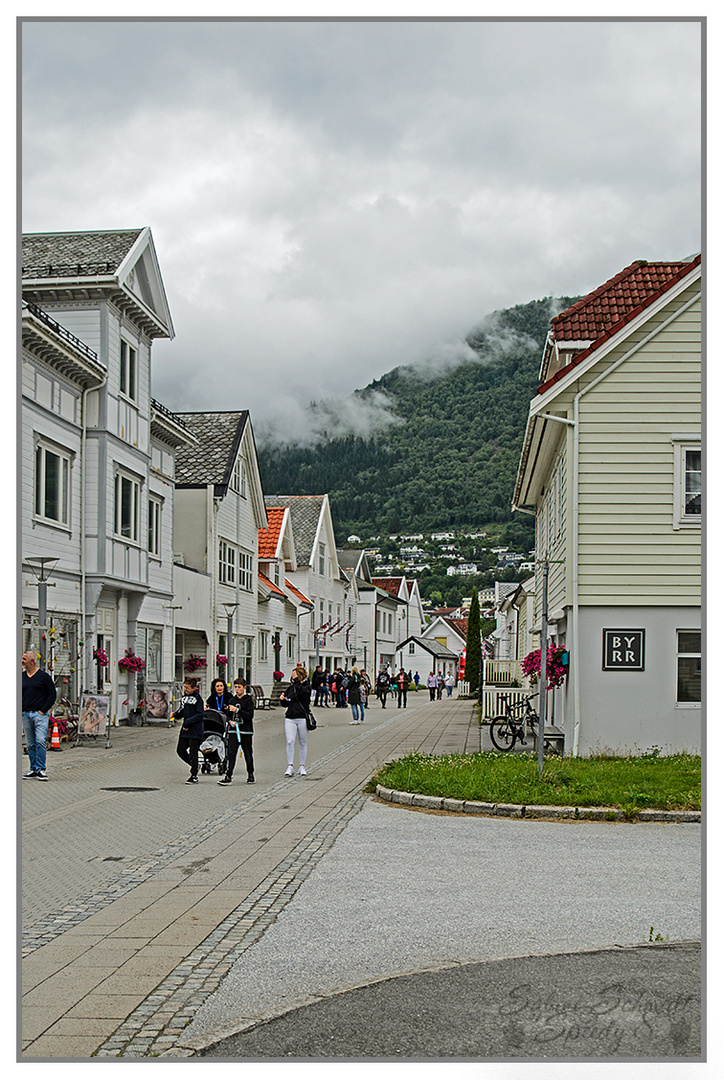 Einkaufsstraße ...