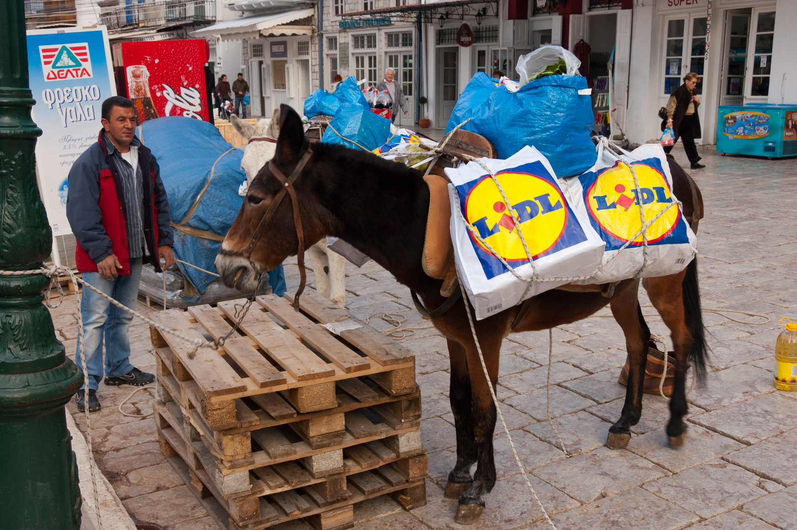 Einkaufswagen