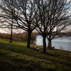 Einladende Bank am Lippesee in Paderborn