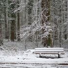 Einladung im Schnee,  invitación en la nieve,  invitation in the snow