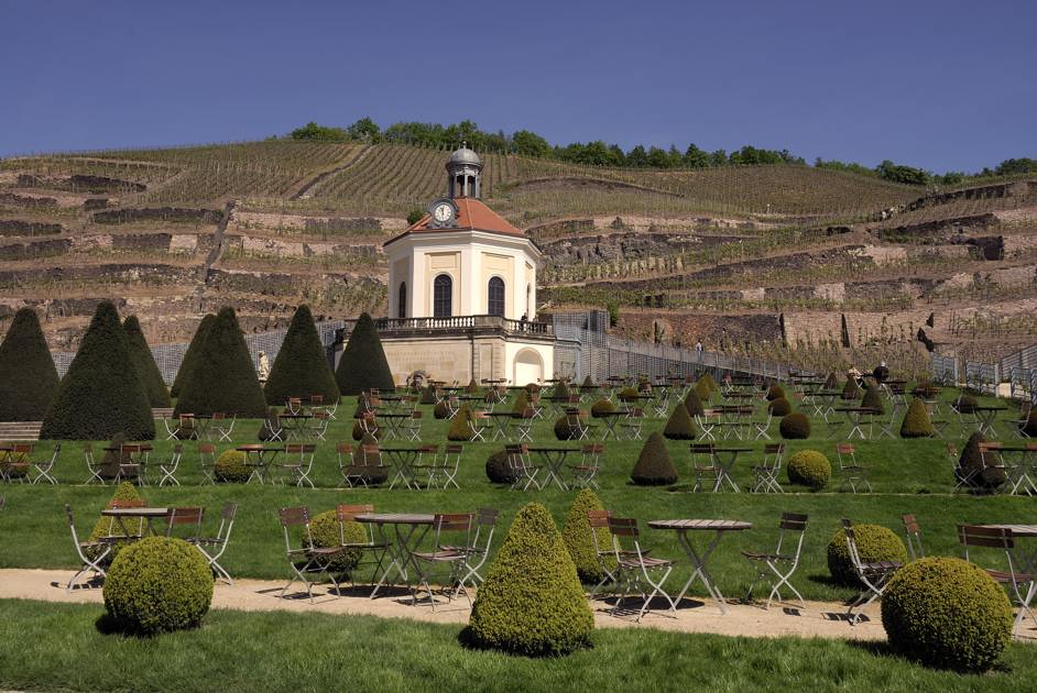 Einladung ins sächsische Weingut Wackerbarth