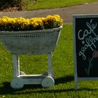 Einladung vom Koog-Cafe in Wesselburen