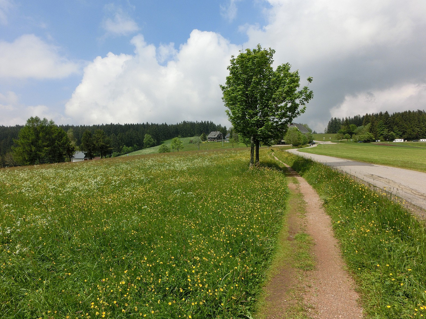 Einladung zu einem Spaziergang